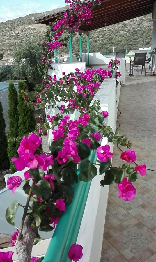 Apartamento Baci Ksamil